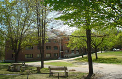 New England College