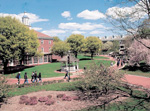 Western New England College